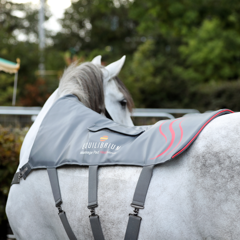 Equilibrium Massage Pad Heatsense - Standard/XL-1